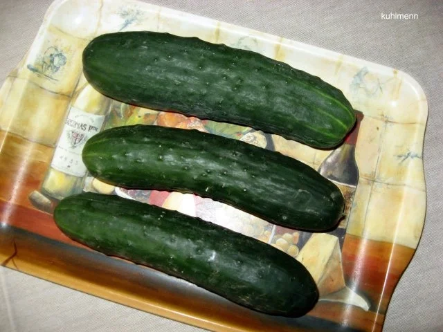 Rezept: Putenhack/Landgurken-Schmortopf Bild Nr. 2 Putenhack/Landgurken-Schmortopf - Rezept - Bild Nr. 2