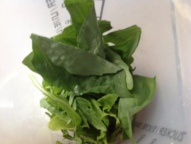 Rezept: Fruchtiger Paprikasalat mit Mozzarella Bild Nr. 4 Fruchtiger Paprikasalat mit Mozzarella - Rezept - Bild Nr. 4