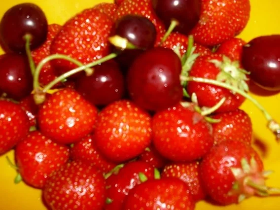 Schichtdessert - Rezept - Bild Nr. 2