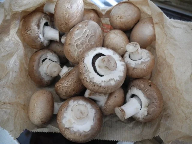 Rezept: Vegan : Knoblauch - Tortililini - Pfanne Bild Nr. 6 Vegan : Knoblauch - Tortililini - Pfanne - Rezept - Bild Nr. 6