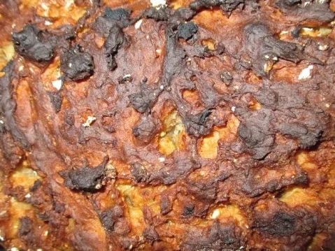 Birnen Haferflocken Brot - Rezept - Bild Nr. 2