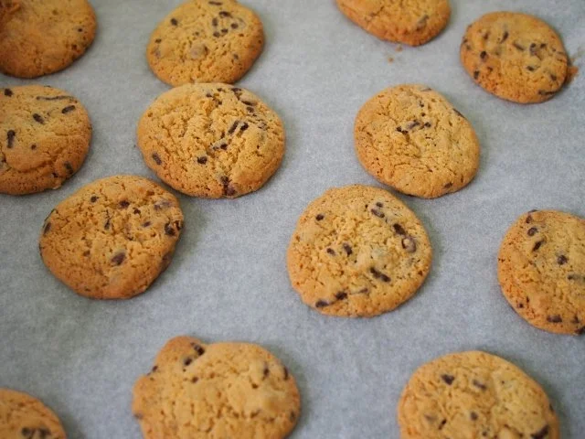 Rezept: Chocolate- Chip- Cookies Chocolate- Chip- Cookies - Rezept
