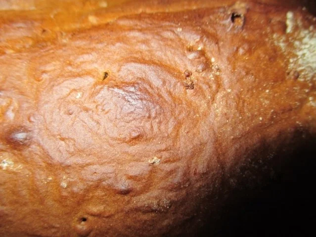40er Brot - Rezept - Bild Nr. 3