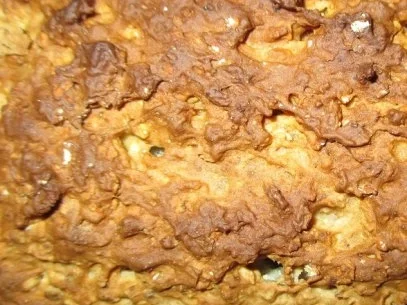 Irisches Haferbrot - Rezept - Bild Nr. 2