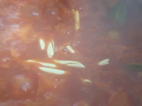 Rezept: Tomatensüppchen mit Pastaeinlage Bild Nr. 12 Tomatensüppchen mit Pastaeinlage - Rezept - Bild Nr. 12