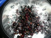 Jostabeeren & Johannisbeeren schwarz als Gelee - Rezept