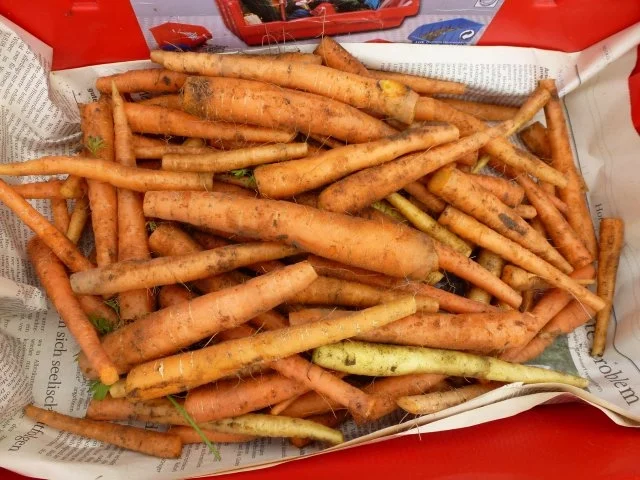 Möhrengugelhupf mit Nüssen und Mandeln - Rezept - Bild Nr. 2