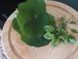 Salsa - fruchtig bis feurig - Rezept - Bild Nr. 10