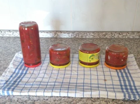 Salsa - fruchtig bis feurig - Rezept - Bild Nr. 11