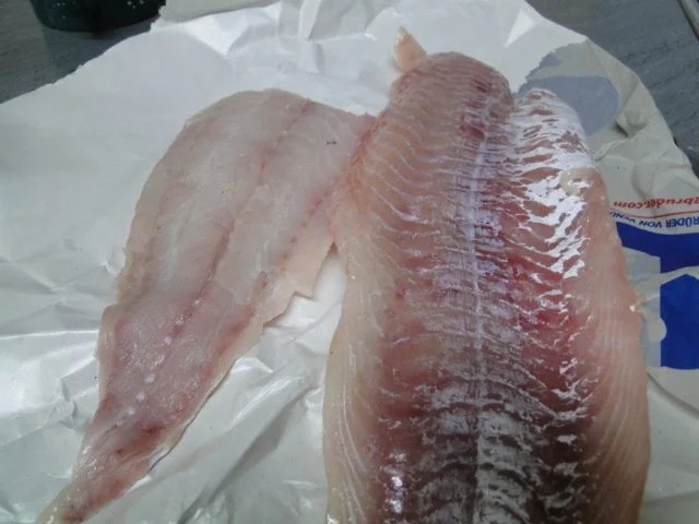 Rezept: Mehlierter Seelachs, dazu Kartoffelsalat vermischt mit Pflücksalat aus Bild Nr. 2 Mehlierter Seelachs, dazu Kartoffelsalat vermischt mit Pflücksalat aus - Rezept - Bild Nr. 2