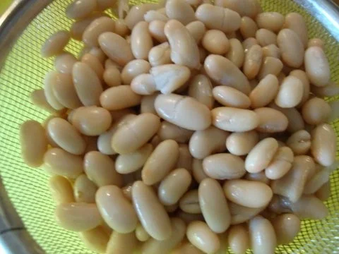 Rezept: Minestrone ....wie Sie gerne in Umbrien aufgetischt wird Bild Nr. 12 Minestrone ....wie Sie gerne in Umbrien aufgetischt wird - Rezept - Bild Nr. 12