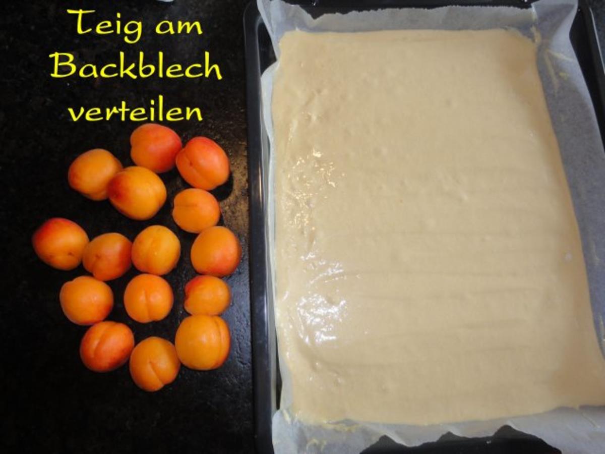 Marillen / Aprikosen Kuchen - klassisch - Rezept - Bild Nr. 6