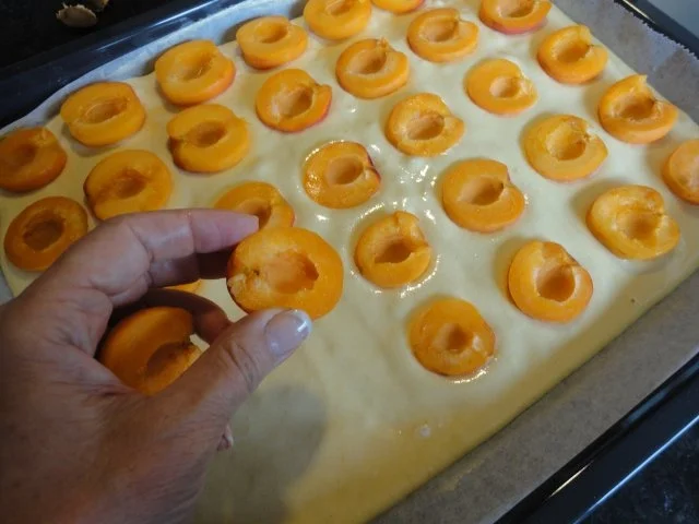 Rezept: Marillen / Aprikosen Kuchen - klassisch Bild Nr. 7 Marillen / Aprikosen Kuchen - klassisch - Rezept - Bild Nr. 7