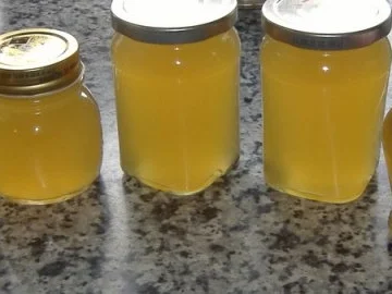 Minz-Apfel-Gelee - Rezept