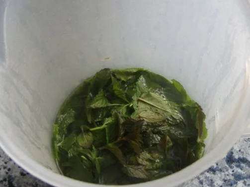 Minz-Apfel-Gelee - Rezept - Bild Nr. 2