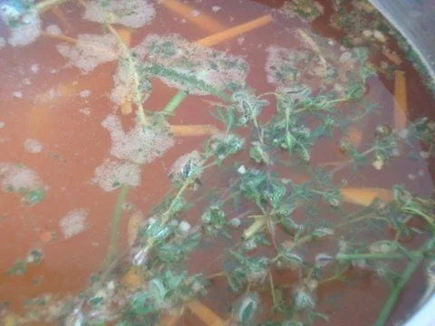 leichte Kräutersuppe - Rezept - Bild Nr. 5