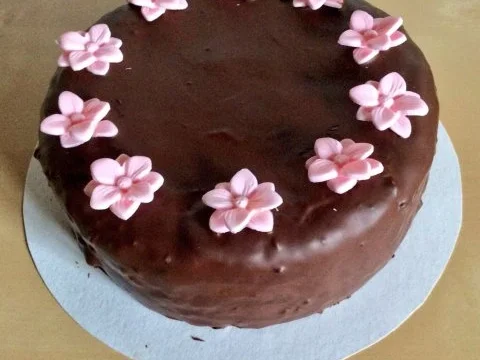 Schoko-Nuss-Kuchen - Rezept