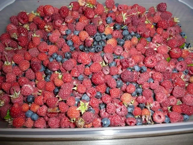 Pfannkuchen mit Quark & Waldbeeren. - Rezept - Bild Nr. 3