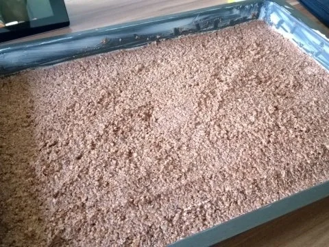 Nuss-Mandel Kuchen (Grundrezept) - Rezept - Bild Nr. 4