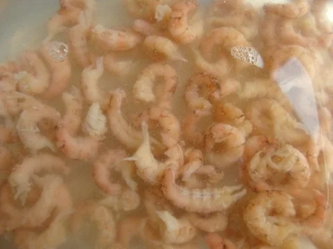 Geeiste Gurkensuppe mit Feuerkrabben - Rezept - Bild Nr. 10