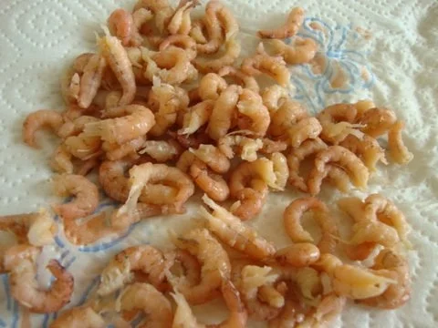 Geeiste Gurkensuppe mit Feuerkrabben - Rezept - Bild Nr. 11