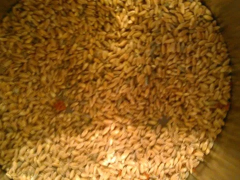 Rezept: Scharfe Hühnerschenkel mit Dinkelreis Bild Nr. 3 Scharfe Hühnerschenkel mit Dinkelreis - Rezept - Bild Nr. 3