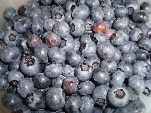 Rezept: Blaubeer - Aprikosen - Marmelade Bild Nr. 3 Blaubeer - Aprikosen - Marmelade - Rezept - Bild Nr. 3