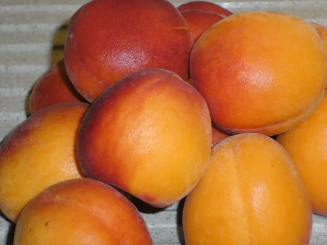 Rezept: Aprikosen Muffins Bild Nr. 5 Aprikosen Muffins - Rezept - Bild Nr. 5