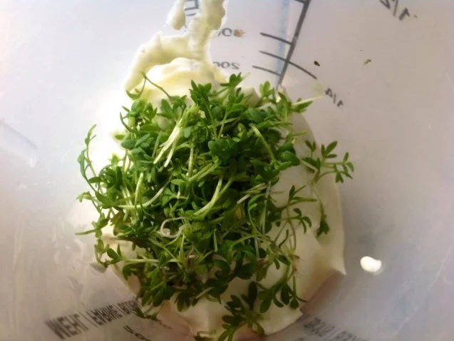 Rezept: Tomaten-Gurken-Salat mit Creme fraiche Bild Nr. 4 Tomaten-Gurken-Salat mit Creme fraiche - Rezept - Bild Nr. 4