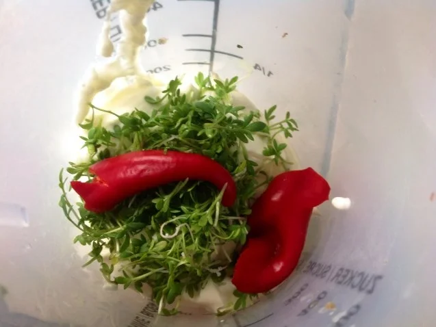 Rezept: Tomaten-Gurken-Salat mit Creme fraiche Bild Nr. 5 Tomaten-Gurken-Salat mit Creme fraiche - Rezept - Bild Nr. 5