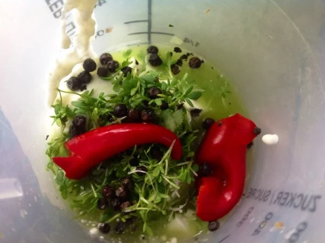 Rezept: Tomaten-Gurken-Salat mit Creme fraiche Bild Nr. 6 Tomaten-Gurken-Salat mit Creme fraiche - Rezept - Bild Nr. 6