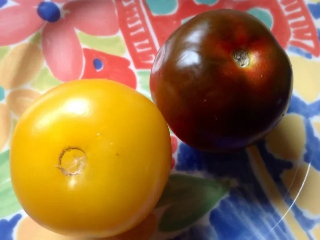 Rezept: Tomaten-Gurken-Salat mit Creme fraiche Bild Nr. 7 Tomaten-Gurken-Salat mit Creme fraiche - Rezept - Bild Nr. 7