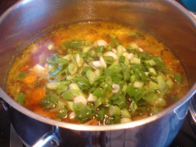 Asiatischer Hähnchenbrustfilet-Eintopf - Rezept - Bild Nr. 10