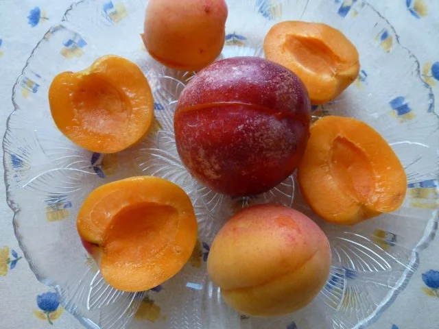 Halbgefrorenes von der Nektarine/Aprikose - Rezept - Bild Nr. 3