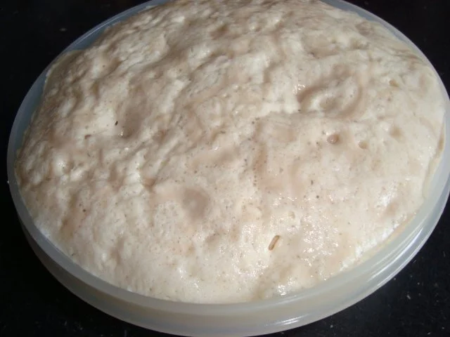 Rezept: Hefekuchen Dreierlei Teil I Bild Nr. 4 Hefekuchen Dreierlei Teil I - Rezept - Bild Nr. 4