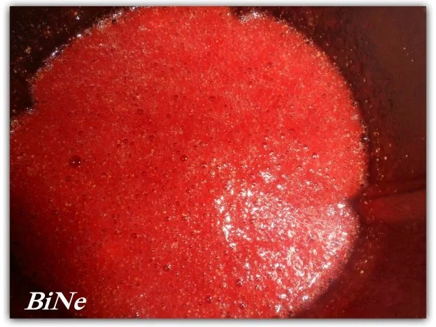 Rezept: BiNe` S ERDBEERLIMES Bild Nr. 5 BiNe` S ERDBEERLIMES - Rezept - Bild Nr. 5