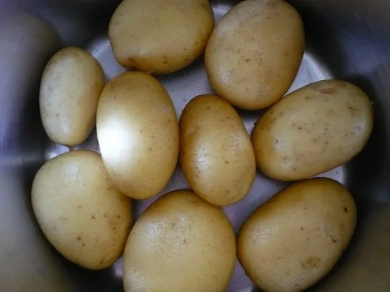 Matjes  "Schweden - Art " - Rezept - Bild Nr. 7