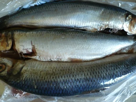 Matjes  "Schweden - Art " - Rezept - Bild Nr. 2