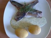 Matjes  "Schweden - Art " - Rezept