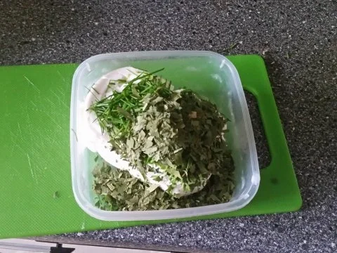 Frühstückquark: Schnittlauch und Bärlauch tummeln sich im Magerquark - Rezept