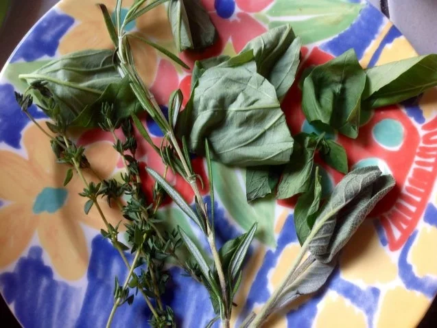 Lachsfilet mit warmen Tomaten-Paprika-Salat - Rezept - Bild Nr. 4