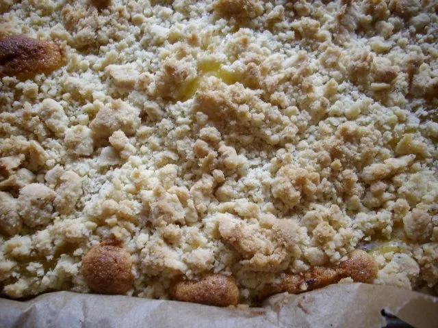 Rezept: aprikosen-streuselkuchen Bild Nr. 7 aprikosen-streuselkuchen - Rezept - Bild Nr. 7