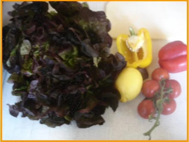 Rezept: Hähnchenbrustfilet mit Vollkornreis und gemischten Salat Bild Nr. 6 Hähnchenbrustfilet mit Vollkornreis und gemischten Salat - Rezept - Bild Nr. 6