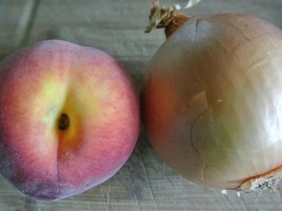 Rezept: Pfirsich-Hackfleisch-Auflauf Pfirsich-Hackfleisch-Auflauf - Rezept