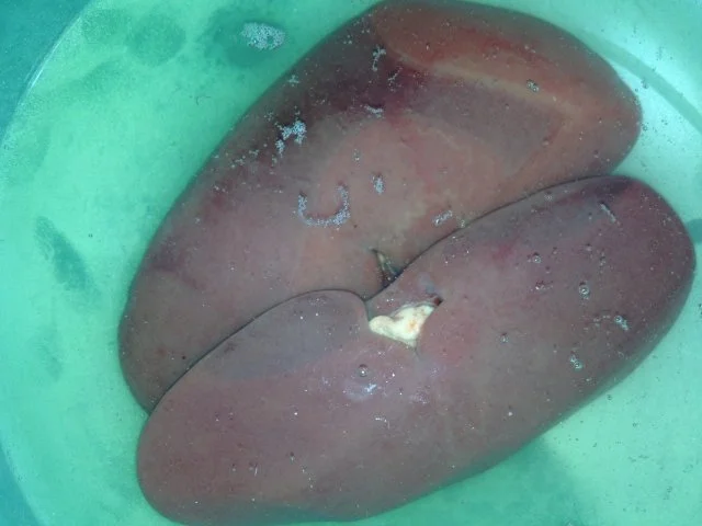 Saure Nierchen nach Uroma Erna - Rezept - Bild Nr. 2