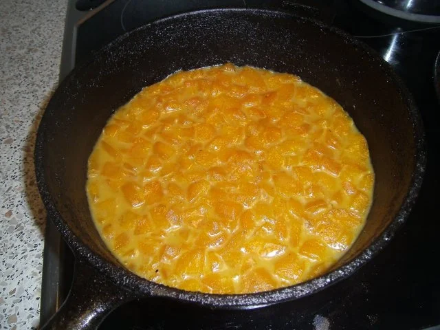 Hähnchenragout mit Aprikosen - Rezept - Bild Nr. 4