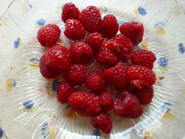 Rezept: Heidelbeer/Himbeer-Eisgugelhupf Bild Nr. 3 Heidelbeer/Himbeer-Eisgugelhupf - Rezept - Bild Nr. 3