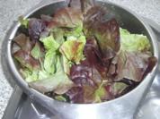 Salatplatte mit Hähnchenstreifen - Rezept
