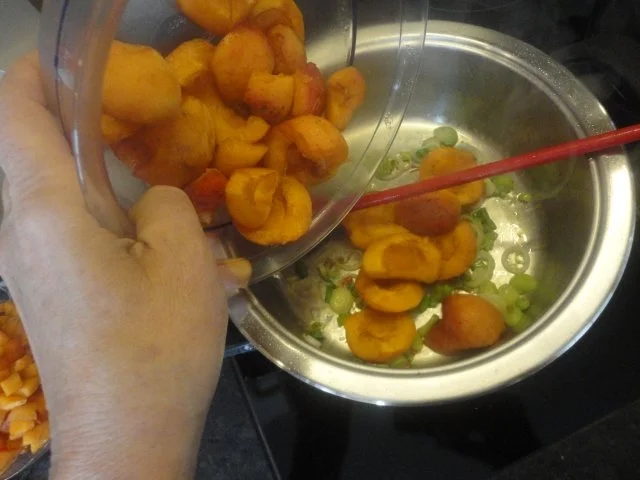 Marillen / Aprikosen Chutney - Rezept - Bild Nr. 4