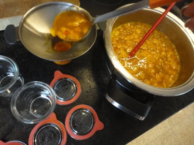 Marillen / Aprikosen Chutney - Rezept - Bild Nr. 17